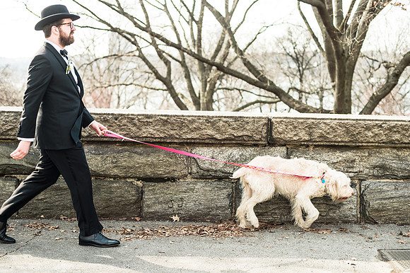 Carrie & Joel: Brooklyn, NY